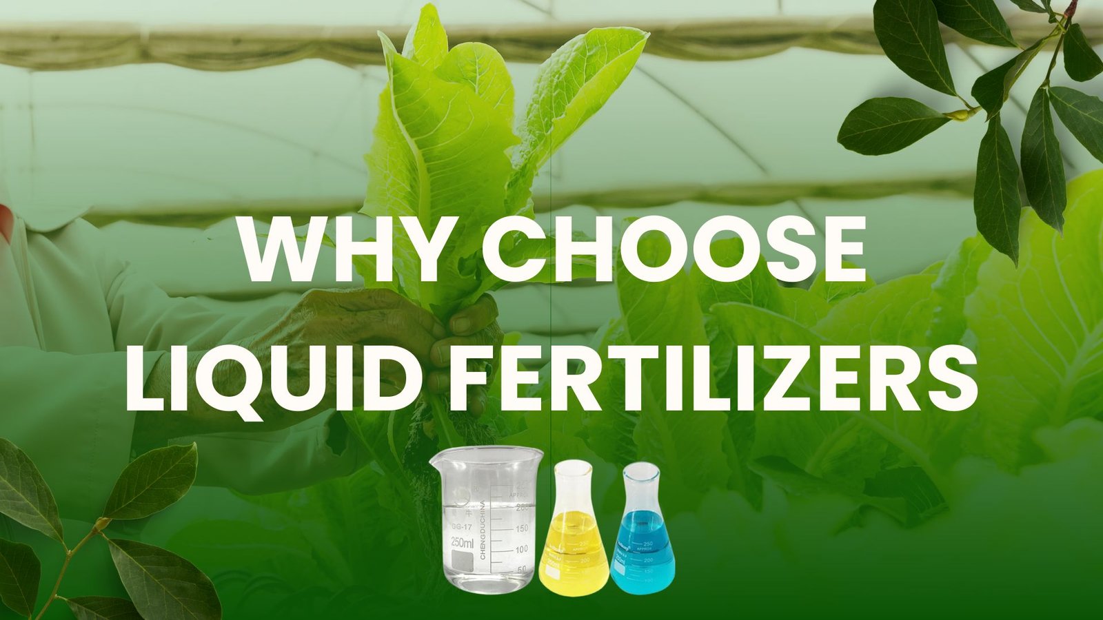 liquid fertilizer