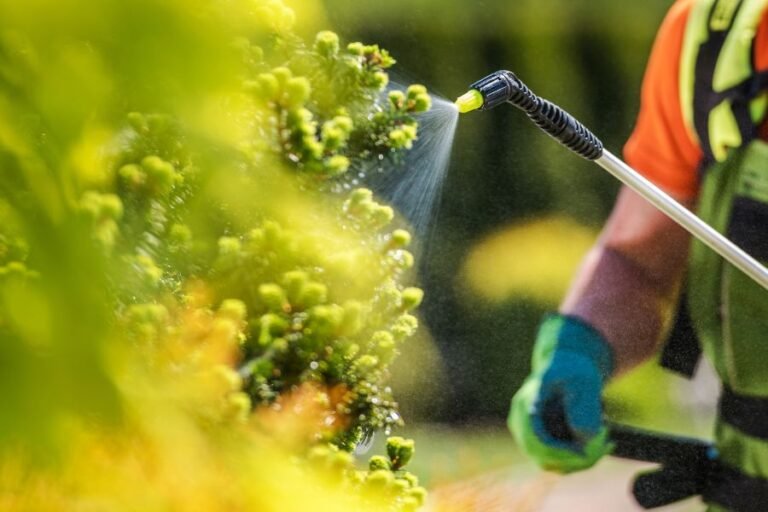 Liquid Fertilizers: Pros and Cons